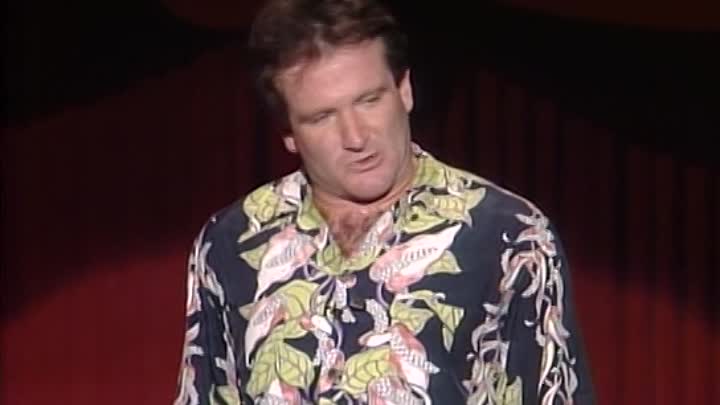 ⁣An Evening With Robin Williams Live And Uncensored 1984 DVDRip XviD-aAF