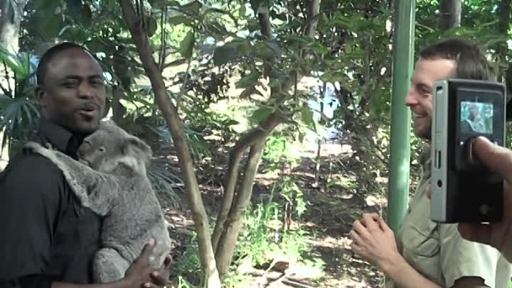 ⁣Wayne Brady 2010 Live Making Shit Up DVDRip XviD-aAF