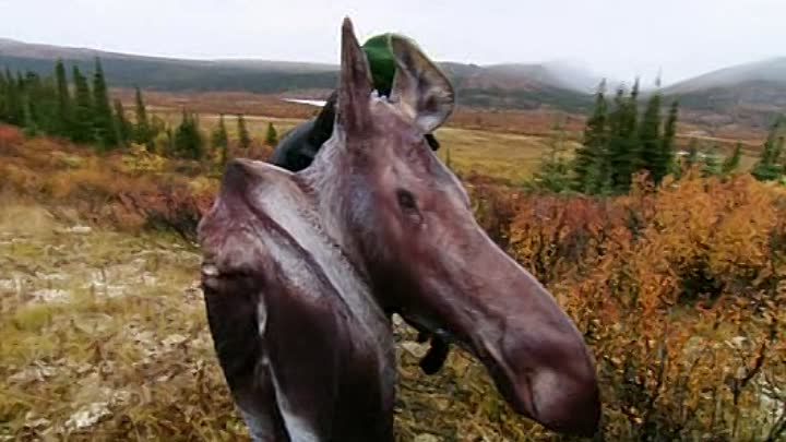 Journey to the Edge of the World - 04