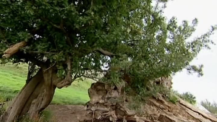 ⁣World Tour Of England, Ireland & Wales - 02