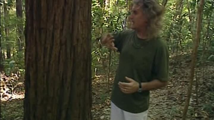 ⁣World Tour of Australia - 06