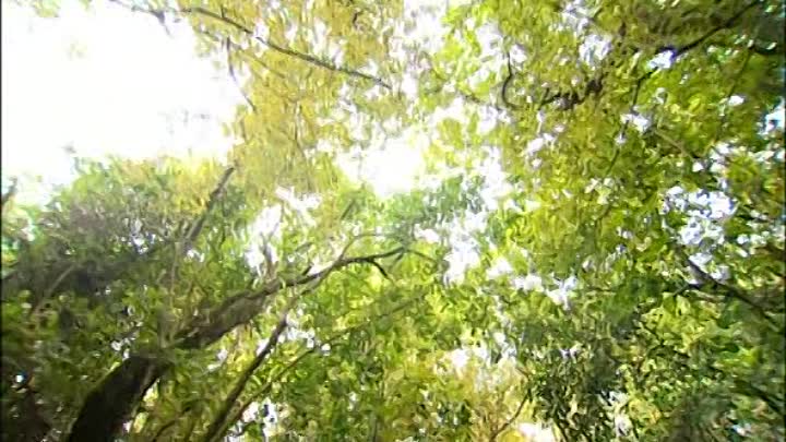 Billy Connolly's World Tour Of New Zealand - 03