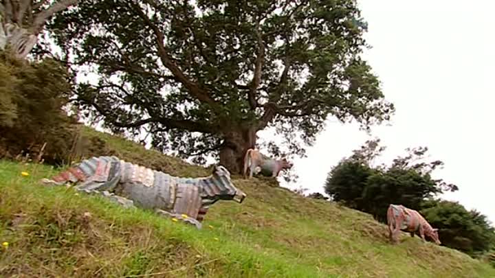 Billy Connolly's World Tour Of New Zealand - 07