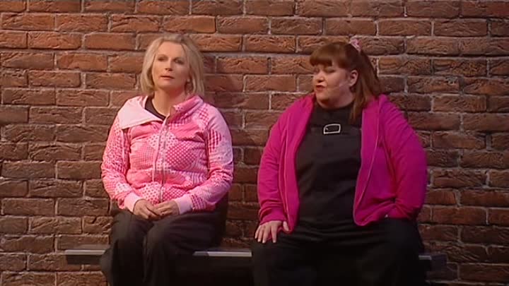 French And Saunders Still Alive 2008 DVDRip XviD-DOMiNO