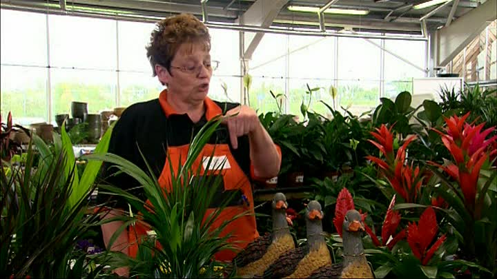 Peter Kay stand up UKay