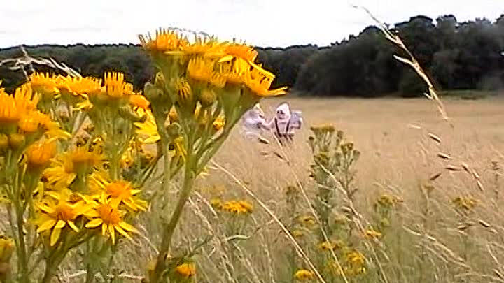 ⁣Tim Vine Live - So I Said To This Bloke DVD Extras (2008) Easter Egg