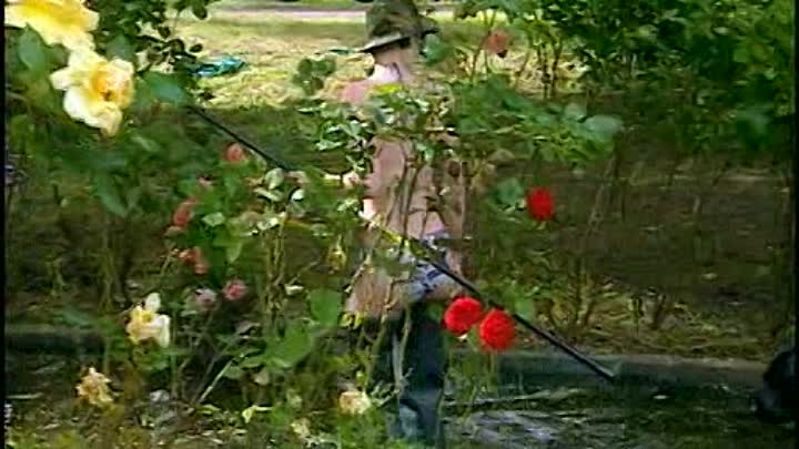 Bricol Girls (V) French DVDRip DivX