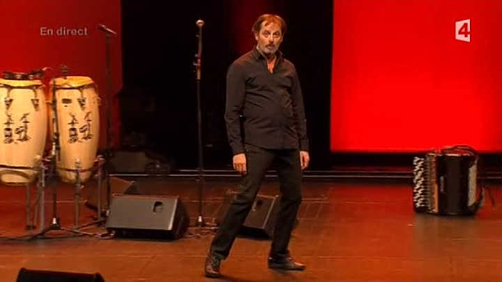 ⁣Christophe Aleveque Est Super Rebelle_ Enfin Ce Qu il En Reste 2010 FRENCH TVRip XviD