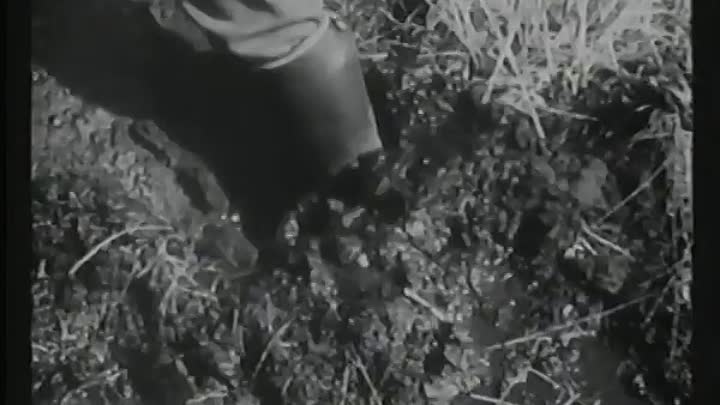 Fährmann Maria 1935 GERMAN 480p WEBRip h264-Nachtschiene