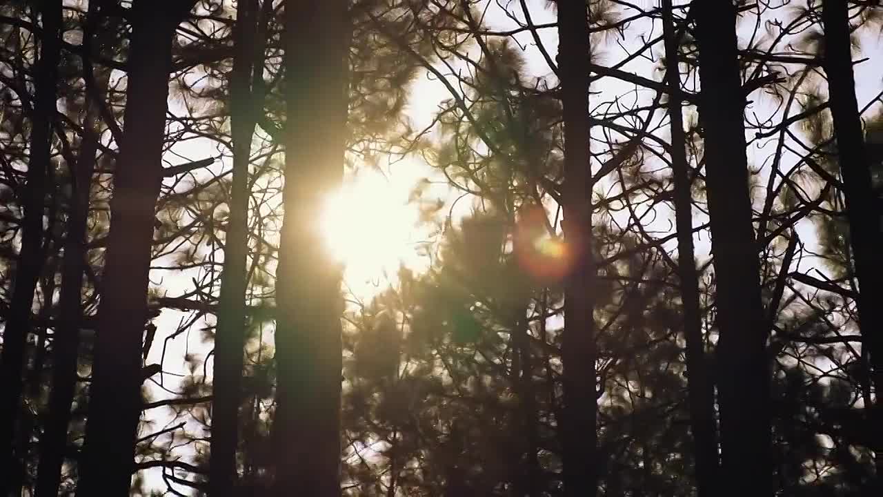 Aloneness to Oneness - Best Life Changing Spiritual Documentary Film on Non-duality