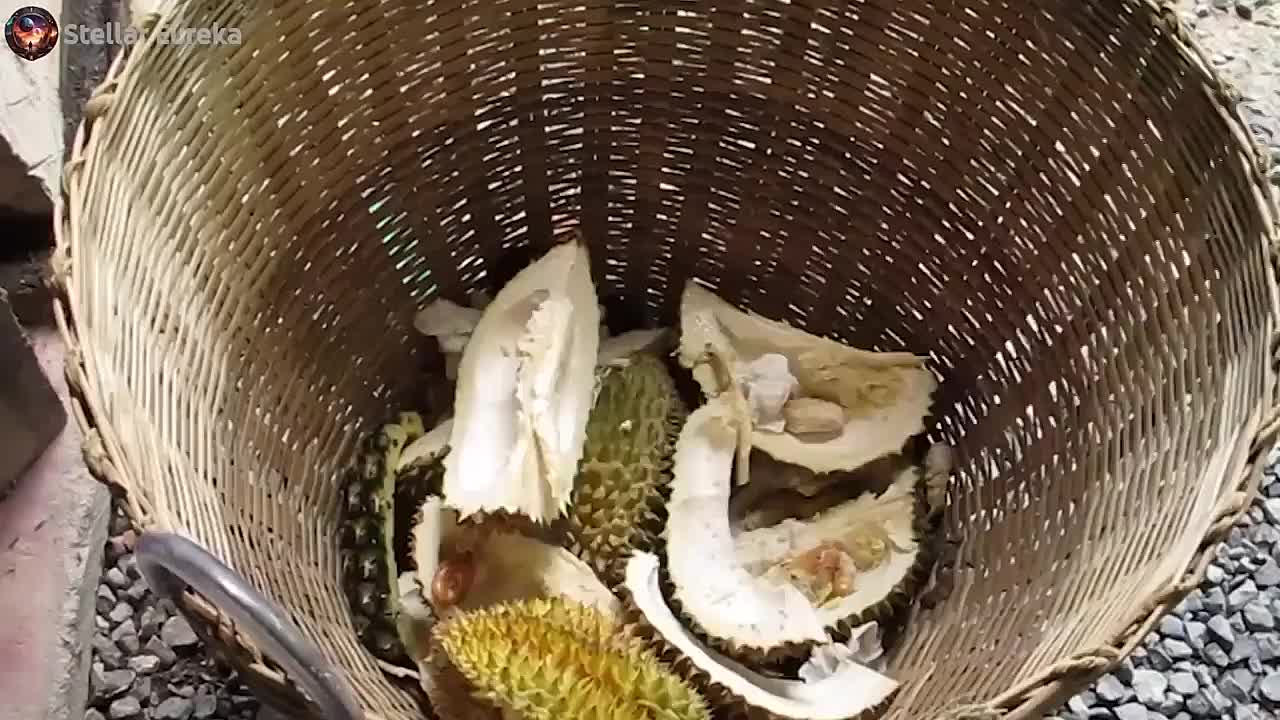 Top 25 Most Rare and Exotic Fruits in the World