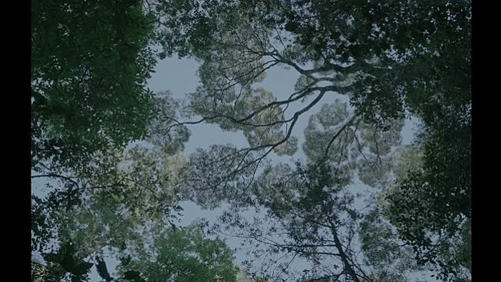 Gaia 2021 HDRip XviD AC3-EVO