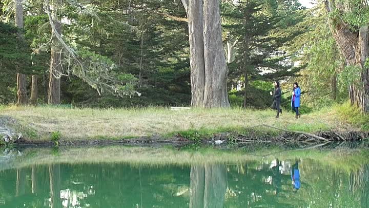 Girl in Golden Gate Park 2021 HDRip XviD AC3-EVO