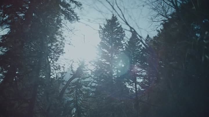 Gods Country 2022 HDRip XviD AC3-EVO