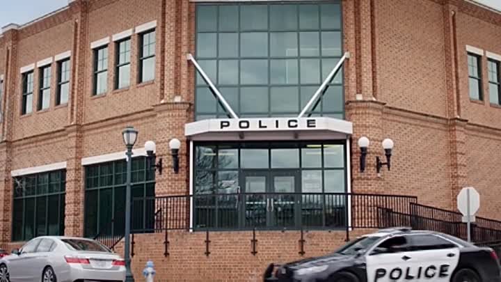 Goodbye Butterfly 2021 HDRip XviD AC3-EVO