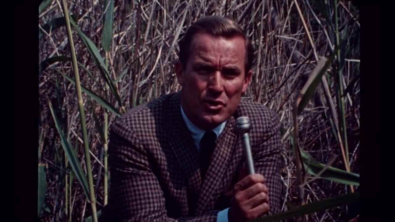 Greetings 1968 720p BluRay x264-[YTS AM]