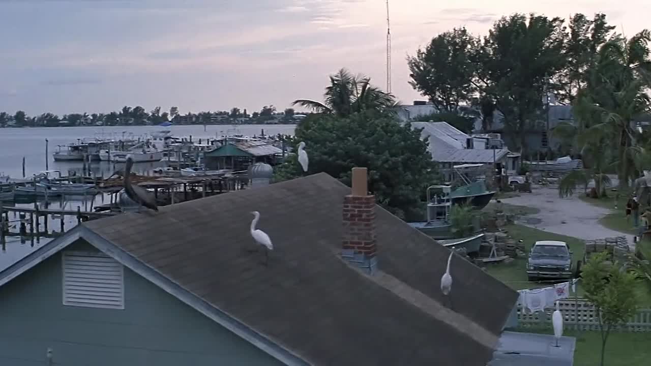 ⁣Great Expectations 1998 1080p BluRay x264-[YTS LT]