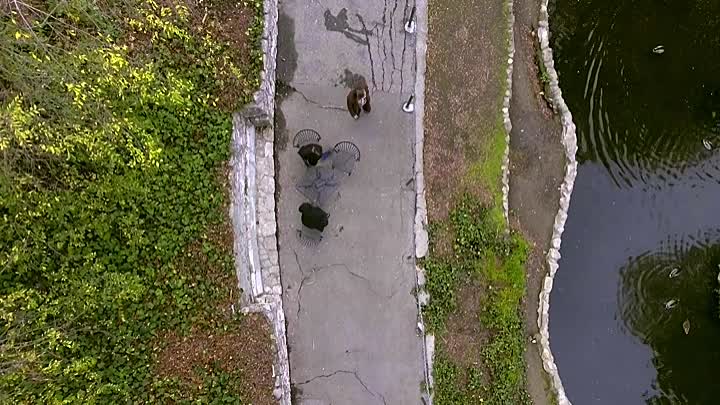 Hacker 2020 HDRip XviD AC3-EVO