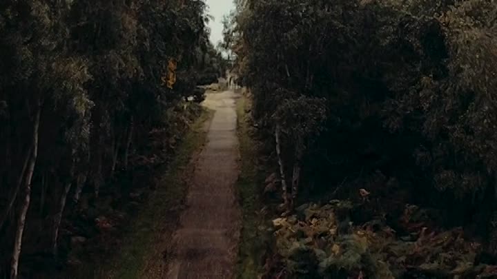 Hatched 2021 HDRip XviD AC3-EVO