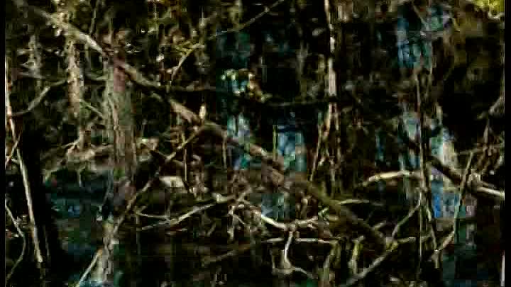 Hatchet 2 2010 VODRip XViD-T0XiC