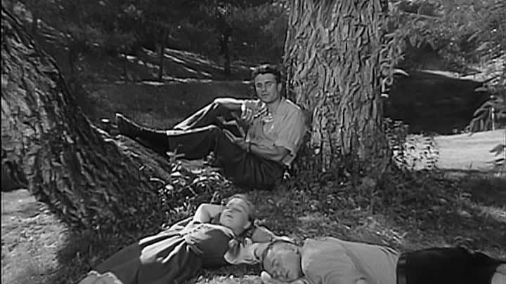 ⁣Hitlers Children 1943 DVDRip XVid-AC3-afrique31