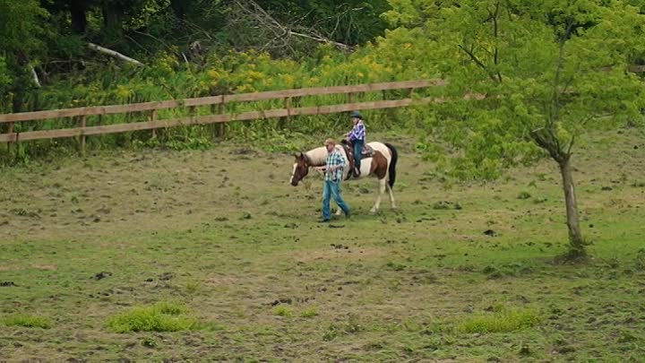 Horse Camp A Love Tail 2020 HDRip XviD AC3-EVO