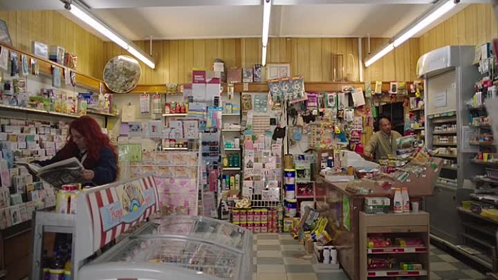 ⁣How to Build a Girl 2020 BDRip XviD AC3-EVO