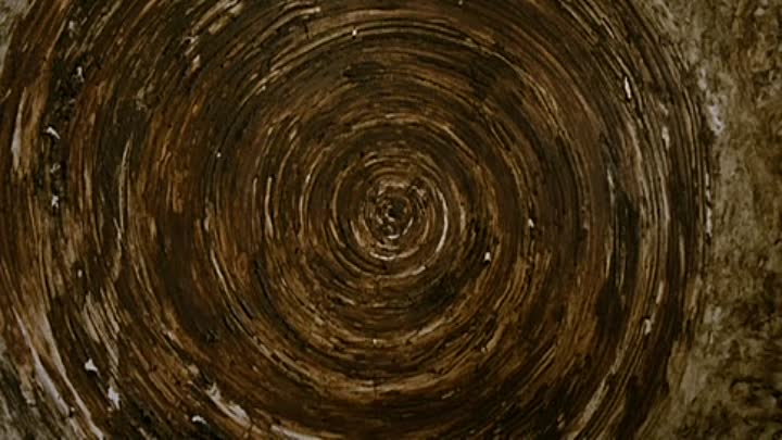 Hunger 2008 LiMiTED DVDRiP XViD-HLS