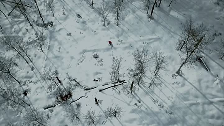 Hunting Ava Bravo 2022 HDRip XviD AC3-EVO