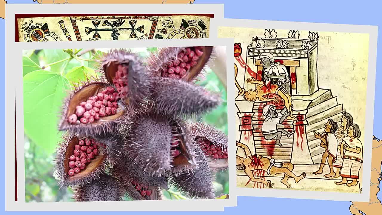 The Ancient History of Chocolate