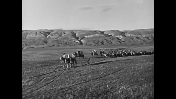 The Big Stampede 1932 WEBRip x264