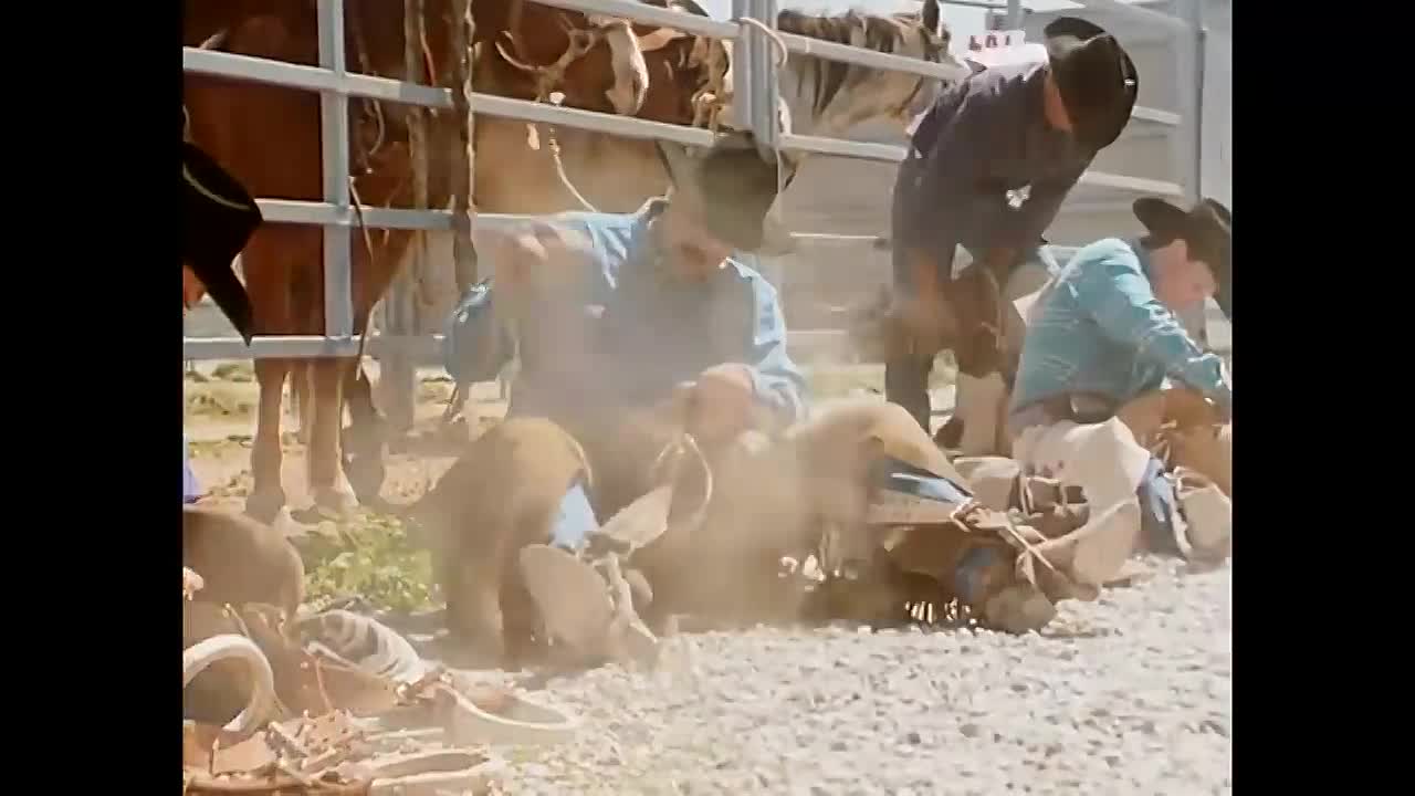 ⁣Ruby Jean and Joe (1996)