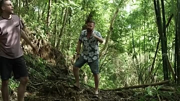 Jades Asylum 2020 HDRip XviD AC3-EVO