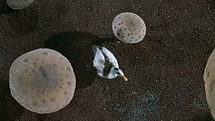 ⁣Journey To The Center Of The Earth 1959 CD2 DVDRip XviD