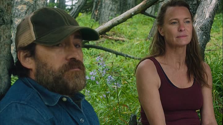 Land 2021 HDRip XviD AC3-EVO