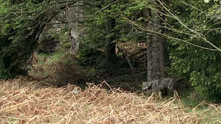 Monarch Of The Glen S04E05