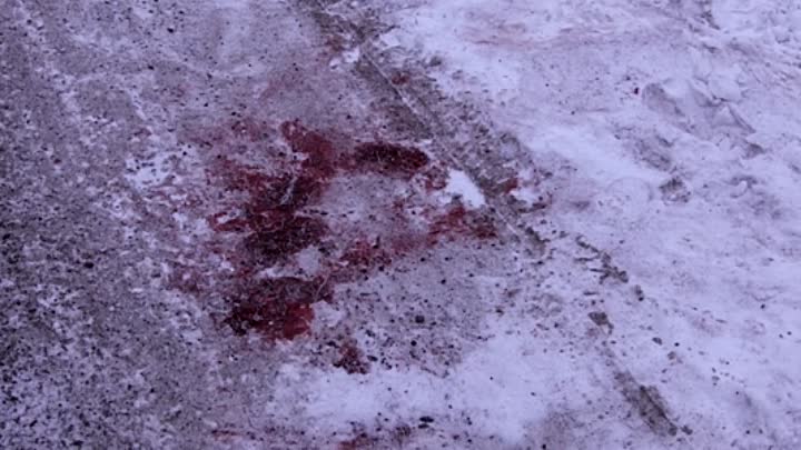 Lillian 2019 HDRip XviD AC3-EVO