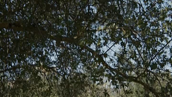 Lost Outlaw 2021 HDRip XviD AC3-EVO