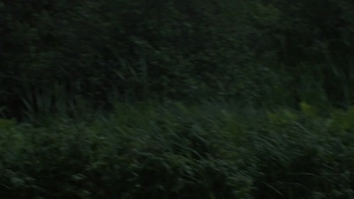 The Alpines 2021 HDRip XviD AC3-EVO