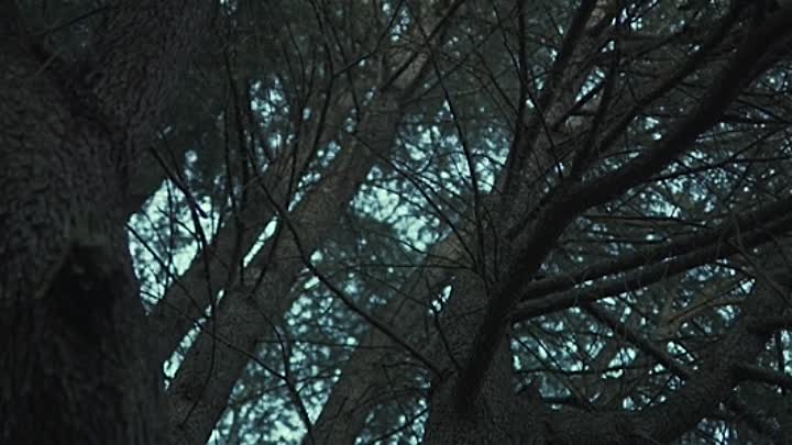 The Arbors 2021 HDRip XviD AC3-EVO