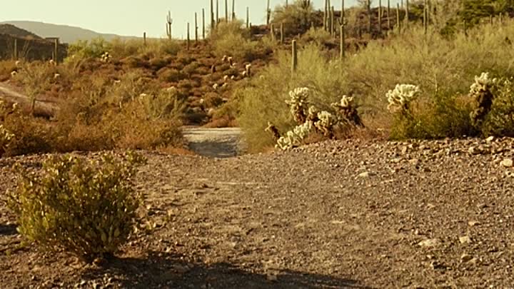 Lucky 2017 HDRip XviD AC3-EVO