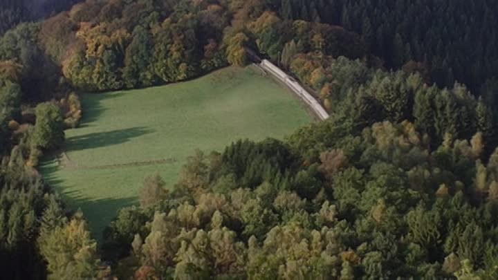 ⁣The Beast in the Jungle 2019 HDRip XviD AC3-EVO