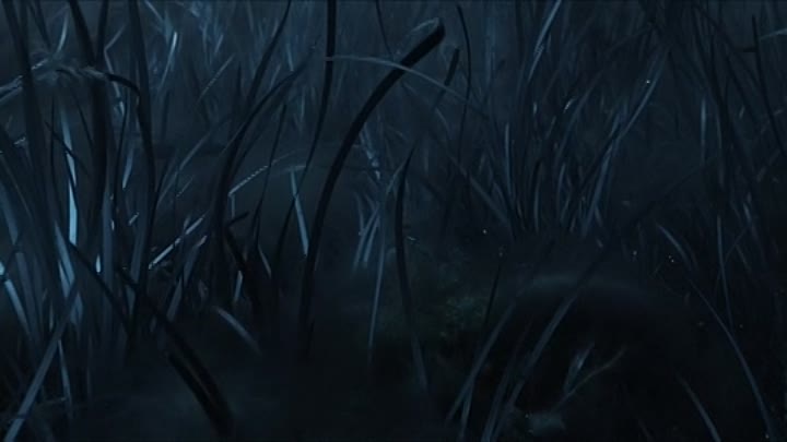 The Block Island Sound 2021 HDRip XviD AC3-EVO