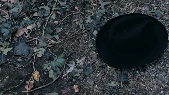 The Bookshop 2017 BDRip XviD AC3-EVO