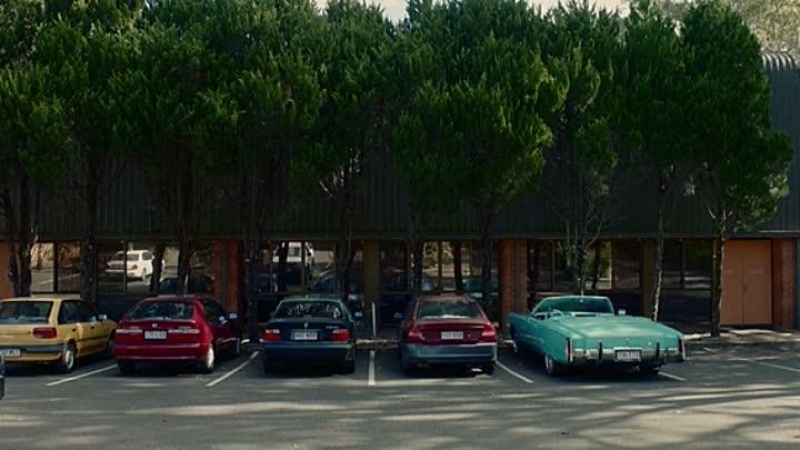 The Butterfly Tree 2017 BDRip XviD AC3-EVO