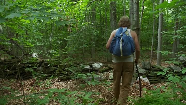 Major Arcana 2020 HDRip XviD AC3-EVO