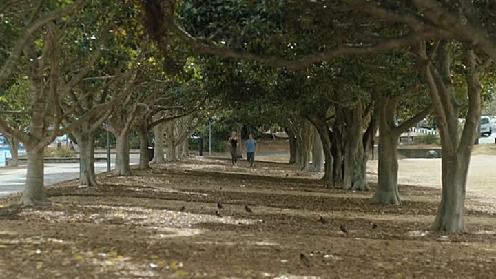 ⁣Me And My Left Brain 2019 HDRip XviD AC3-EVO