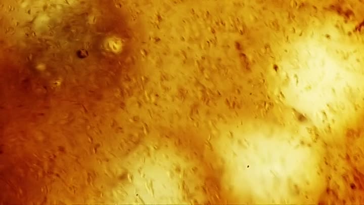 Minor Premise 2022 BRRip XviD AC3-EVO