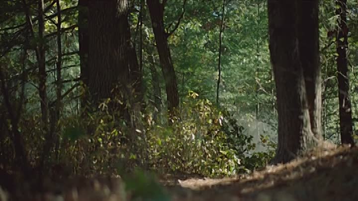 MotherAndroid 2021 HDRip XviD AC3-EVO