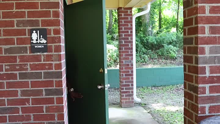 My Brothers Keeper 2021 HDRip XviD AC3-EVO